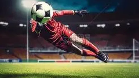 罗纳尔多维埃里圣西罗赠国米纪念球衣